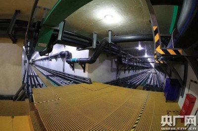 全國(guó)農(nóng)廣采訪(fǎng)團(tuán)走進(jìn)天津靜海:綠色轉(zhuǎn)型帶來(lái)新動(dòng)能