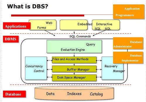 數據庫管理系統（DBMS）入門 基礎概念、目標與應用